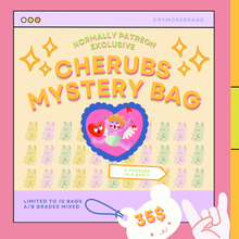 Load image into Gallery viewer, Cherubs Mystery Bags
